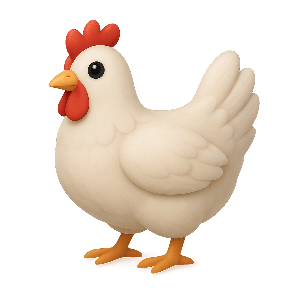 Illustration of a broiler chicken